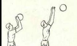 Волейбол.  верхня передача м'яча.  Методична розробка: методика навчання техніці верхньої передачі у волейболі методична розробка з фізкультури (7 клас) на тему Передача однією рукою у волейболі