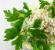 Порционна салата с ракови пръчици, ориз, царевица и прясна краставица Салата с раци, царевица и свежа краставица